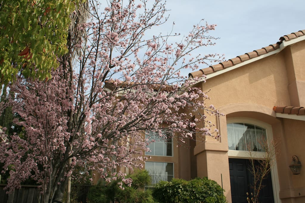 Front door entrance.