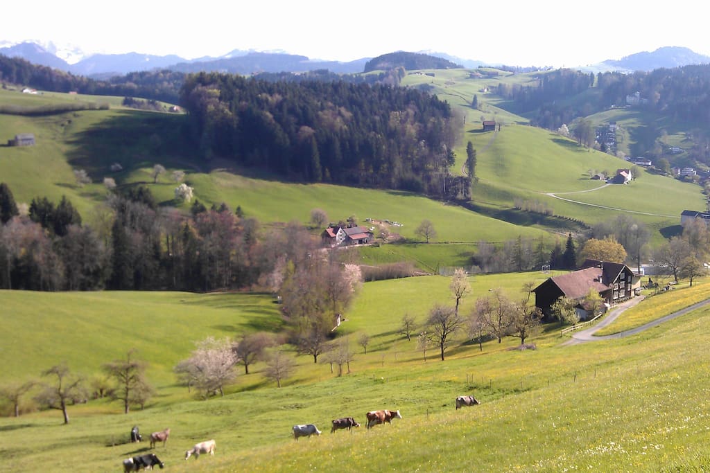 Ruhe und Natur rund um`s Haus.