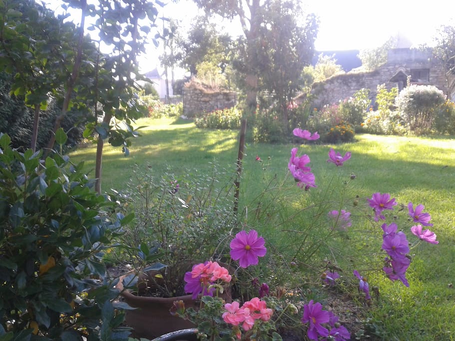 Jardin