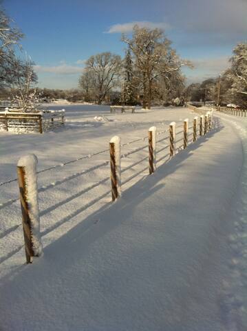 Luxury Edinburgh Period Property gallery image 2