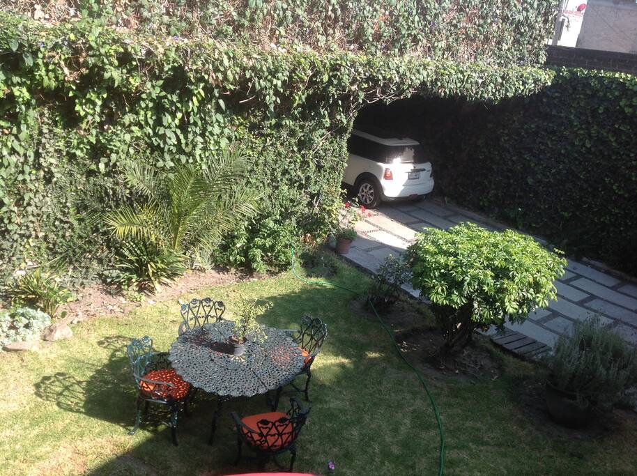 Nice yard to have your morning coffee