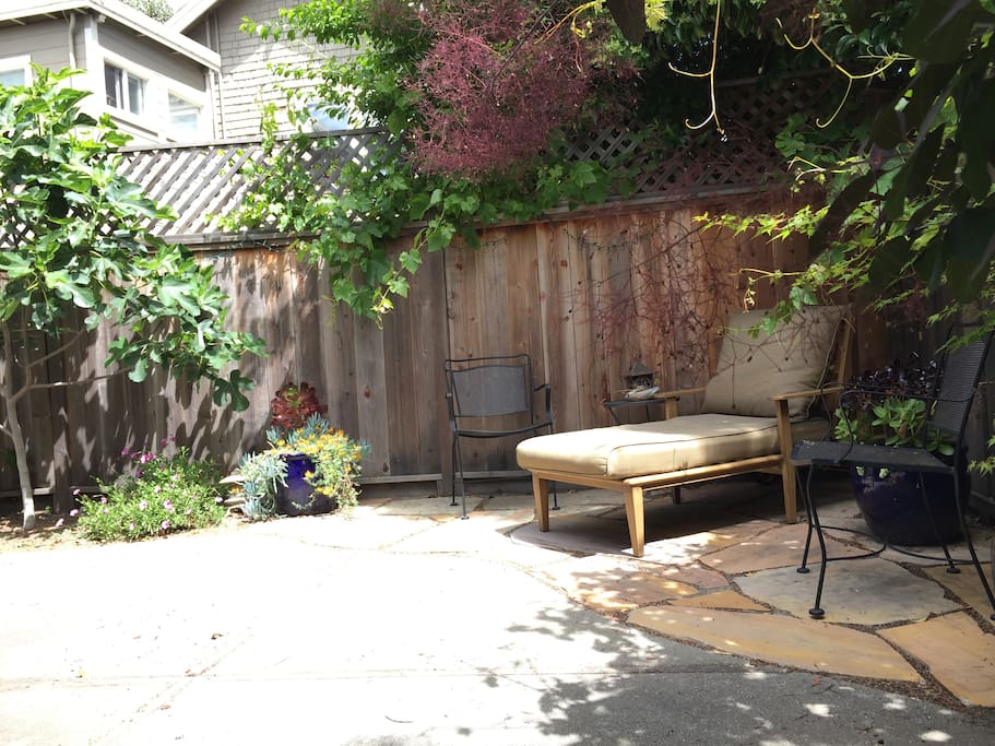 Relax and read a book in the backyard