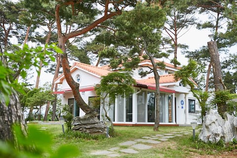 Solmalu Pine Farm House #3