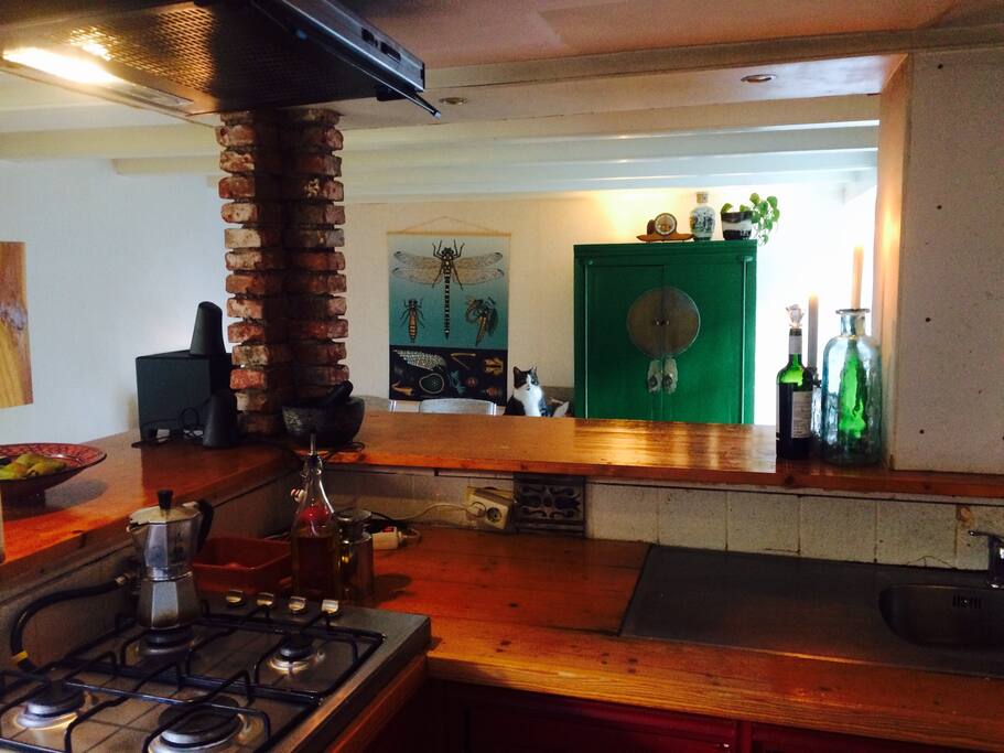 This is a open kitchen with a bar. Basic equipment, but everything you need for cooking and comfort. There will be free coffee and tea. Nice bar for chilling. There is a speaker, you can plug in you phone or other device for listen music.