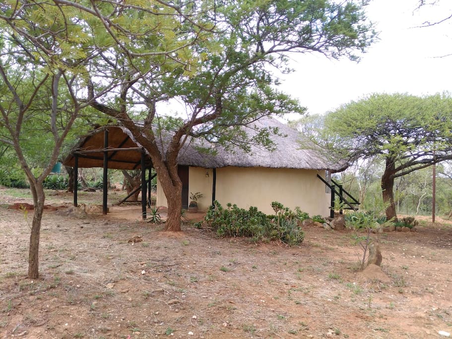 Cottage from the outside; under shady trees