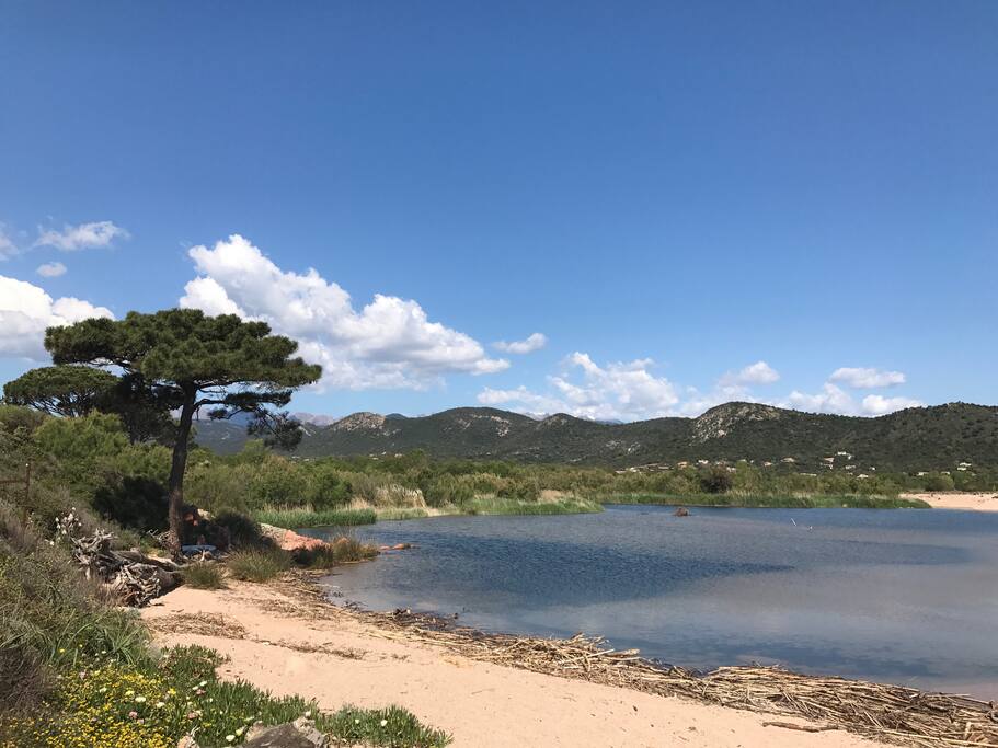 vue des montagnes depuis la plage