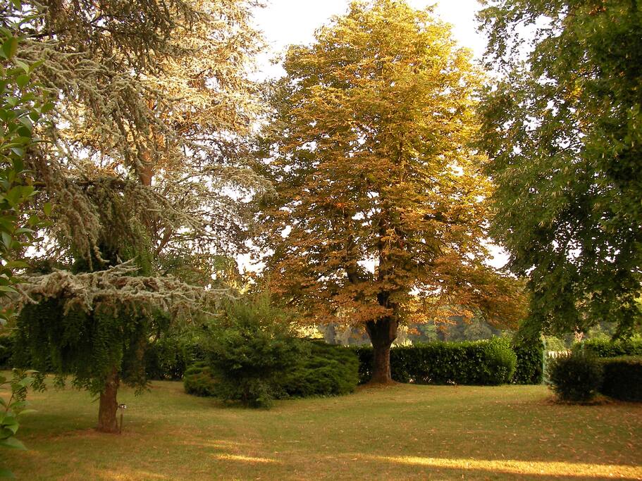Parkland gardens