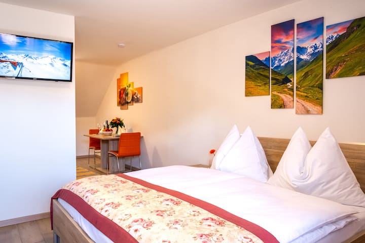 Სტუდიოს ხედი / ბინები დავიდოვი / გასტეინი