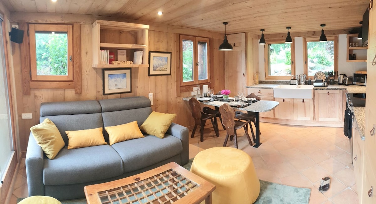 Top performing Airbnb: Mini chalet with mountain view in Les Houches