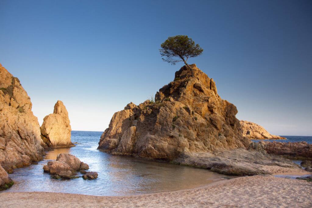 Flat is 3 min walking from this beautiful beach!