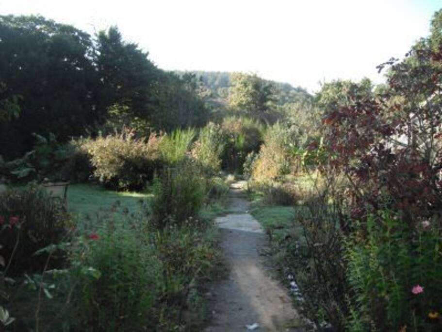 The garden path