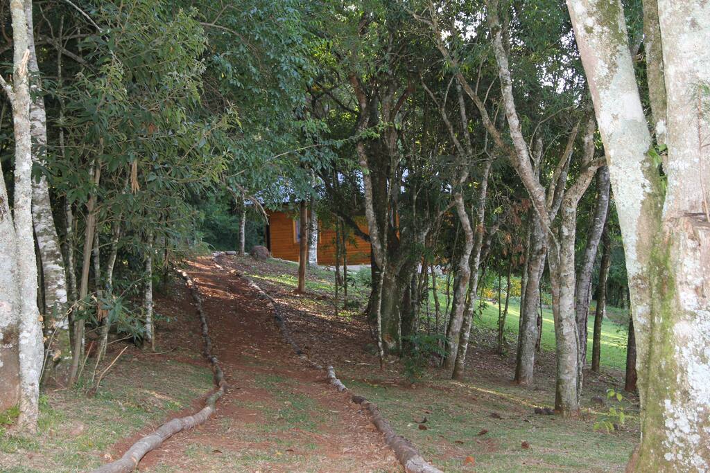 Camino al chalet...