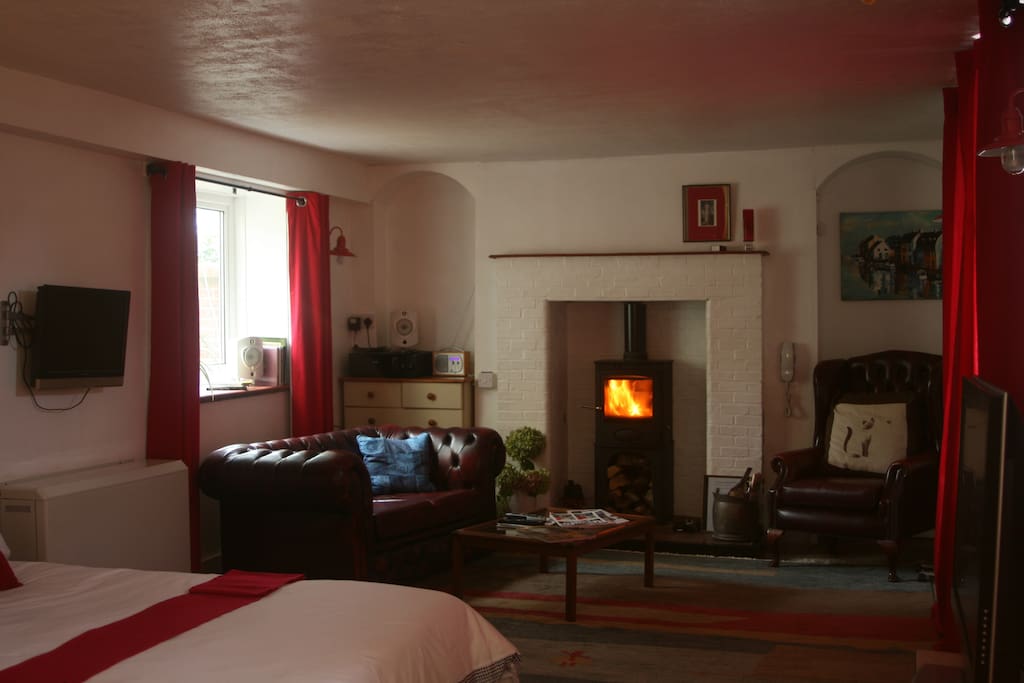Studio Log Burner