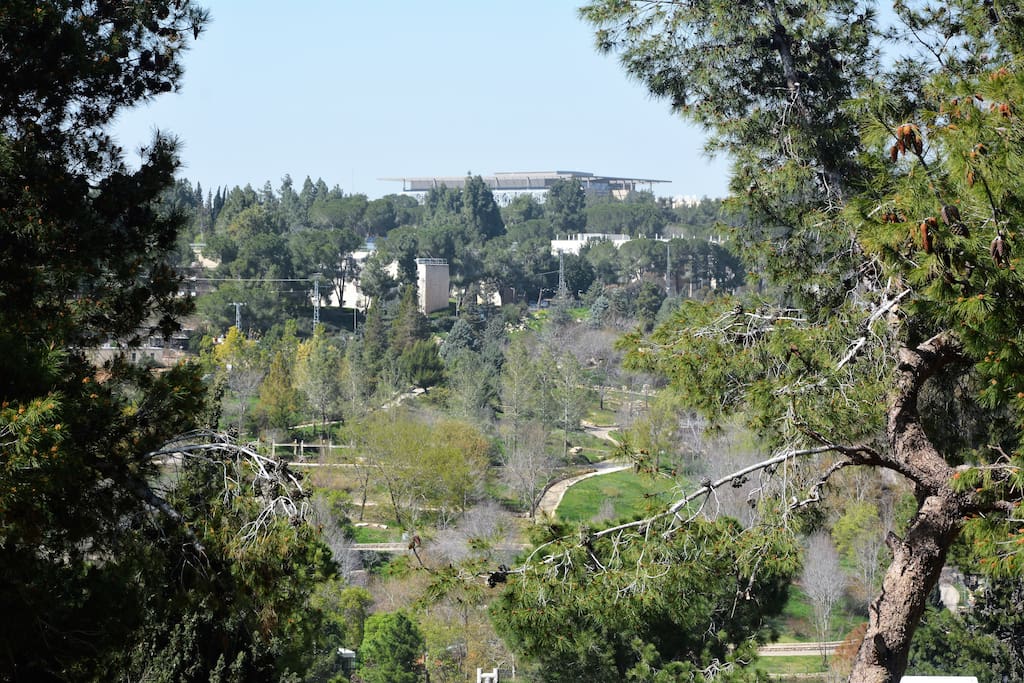 View from living-room