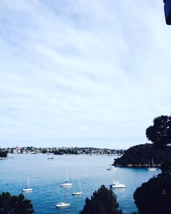 Morning View