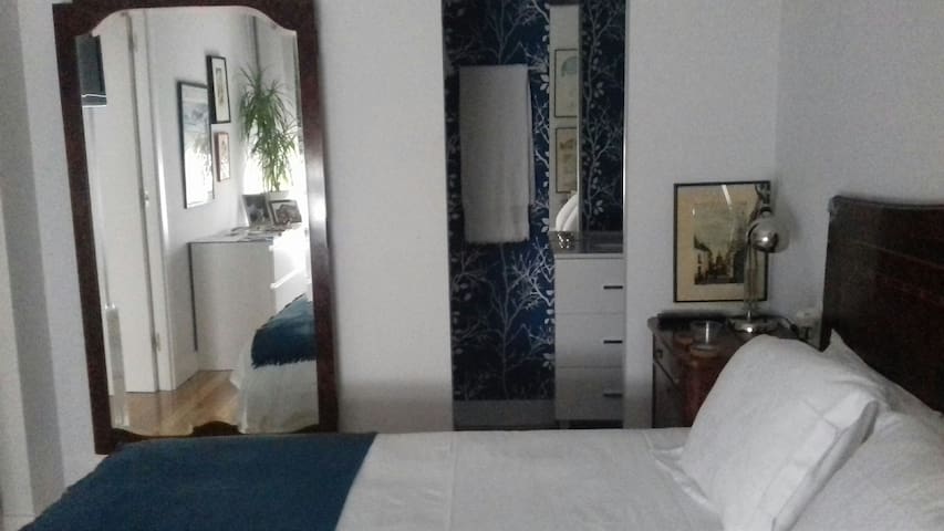 Céntrico. Habitación doble y baño privado. LBI-148