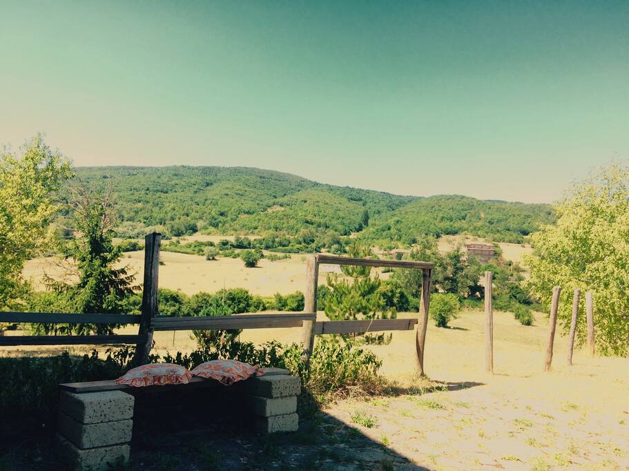 Beautiful panorama