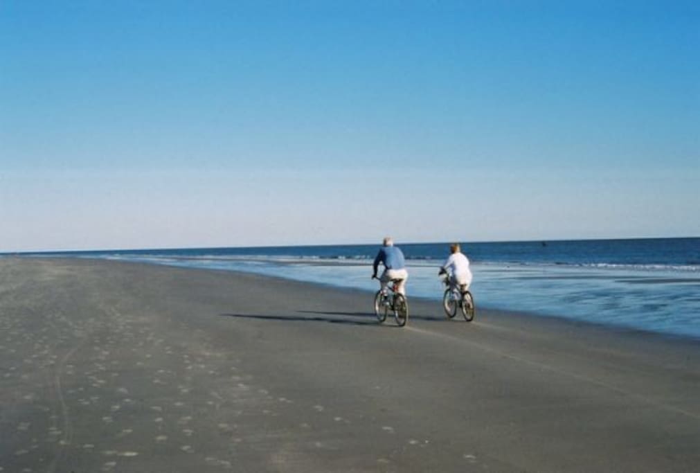 Is Hilton Head Dog Friendly Is Hilton Head Dog Friendly