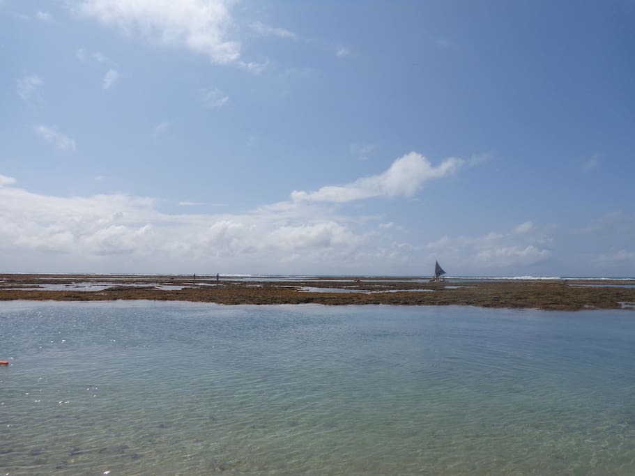 Trecho de mar a 2 quadras de distancia do apartamento. Piscinas naturais a cerca de 05 minutos caminhando.