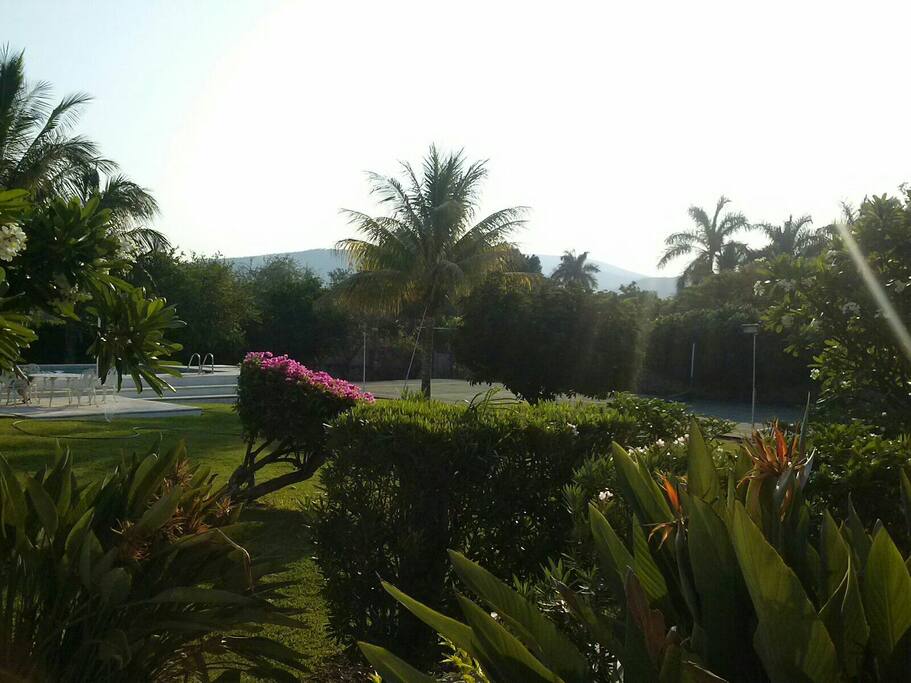 El jardín tiene árboles frutales (mango, naranja, aguacate, nanche, guayaba, limón, mandarina) y flores de varias especies