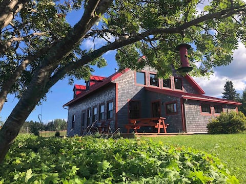 Venetian Photoshoot - La Dolce Vita