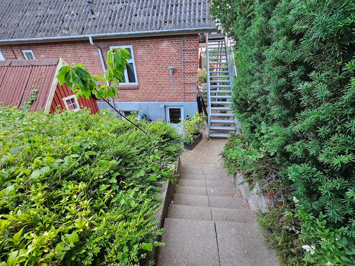 A stone staircase leads downwards, framed by lush greenery on both sides. The pathway is surrounded by a mix of low shrubs and plants. In the background, a building with a brick facade is visible, along with an outdoor stairway providing access to the upper level.