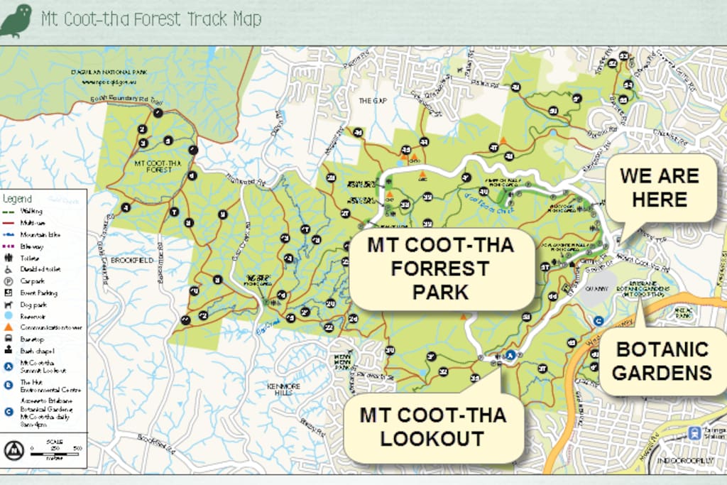Mt Coot-tha Forrest Park.