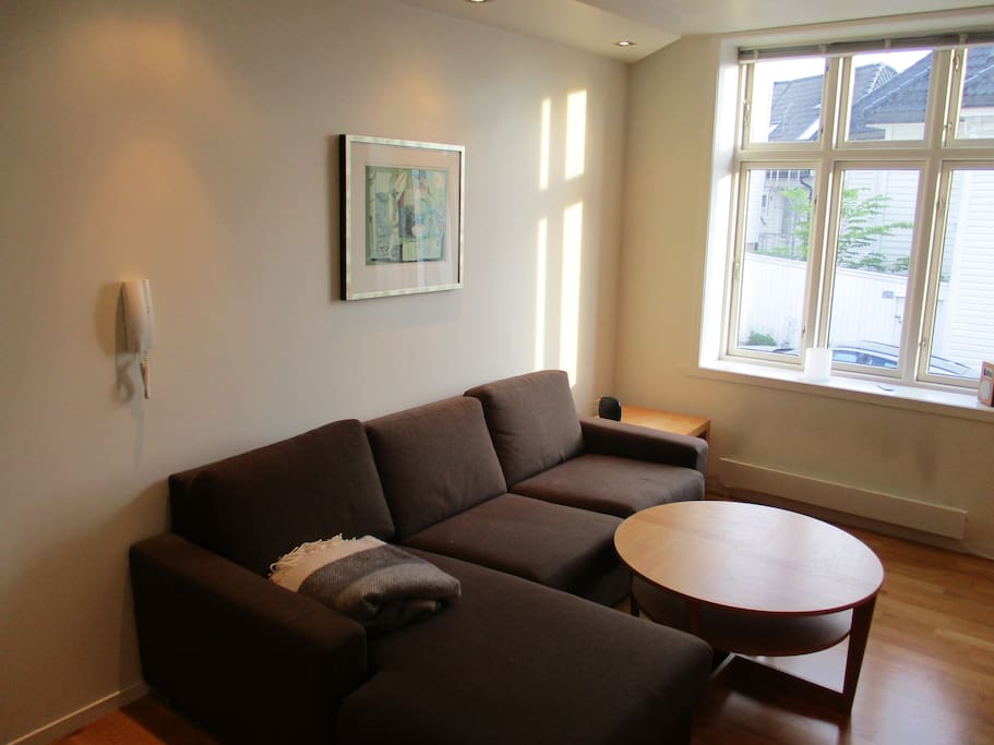 Livingroom. Comfortable couch