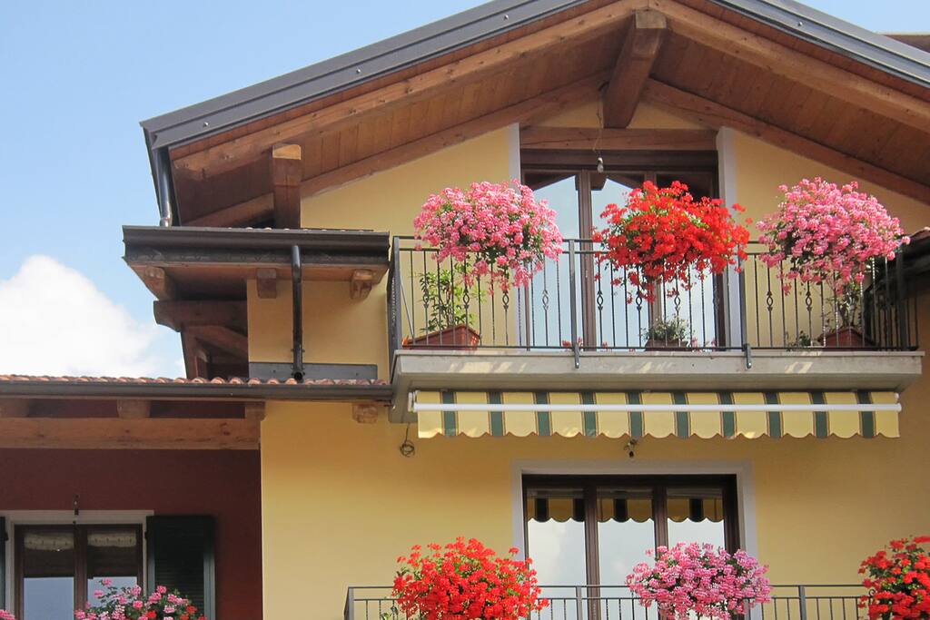 B & B Vista frontale