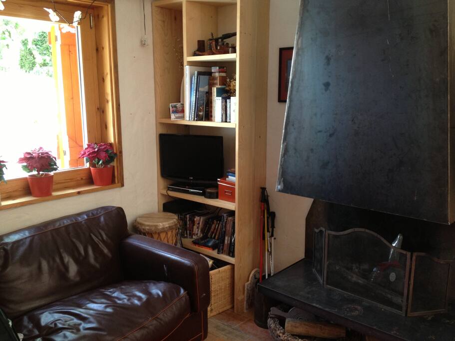 TV and fireplace