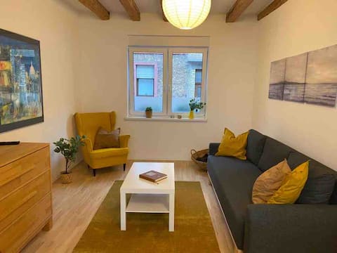 Modern,central & beautiful apartment to live & work