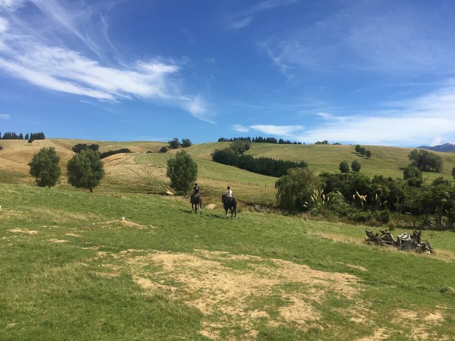 Stunning views, and riding/biking/walking opportunities to spy the wild Fallow deer.