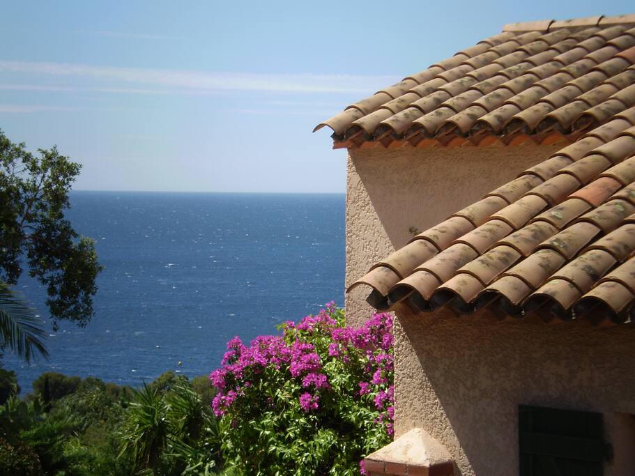 Vista from the Residence