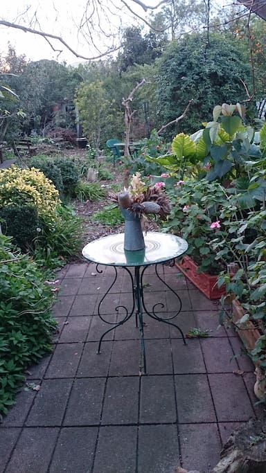 view from back door
