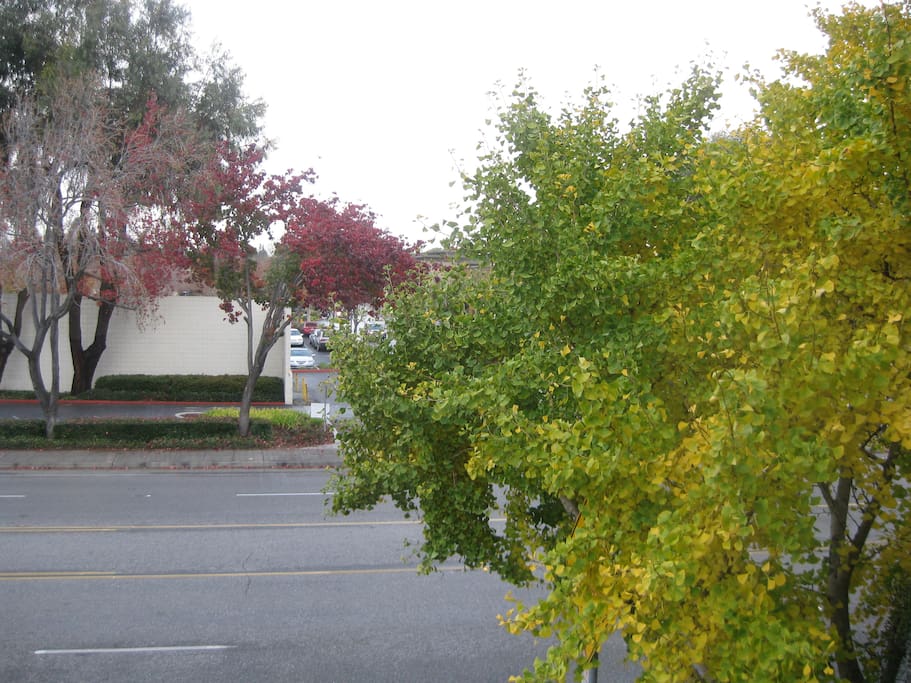 View from bedroom window