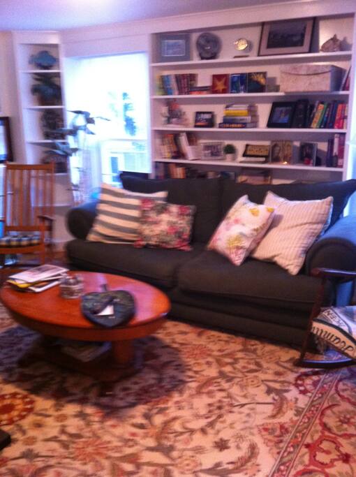 Sitting/TV Room with Sofa Bed