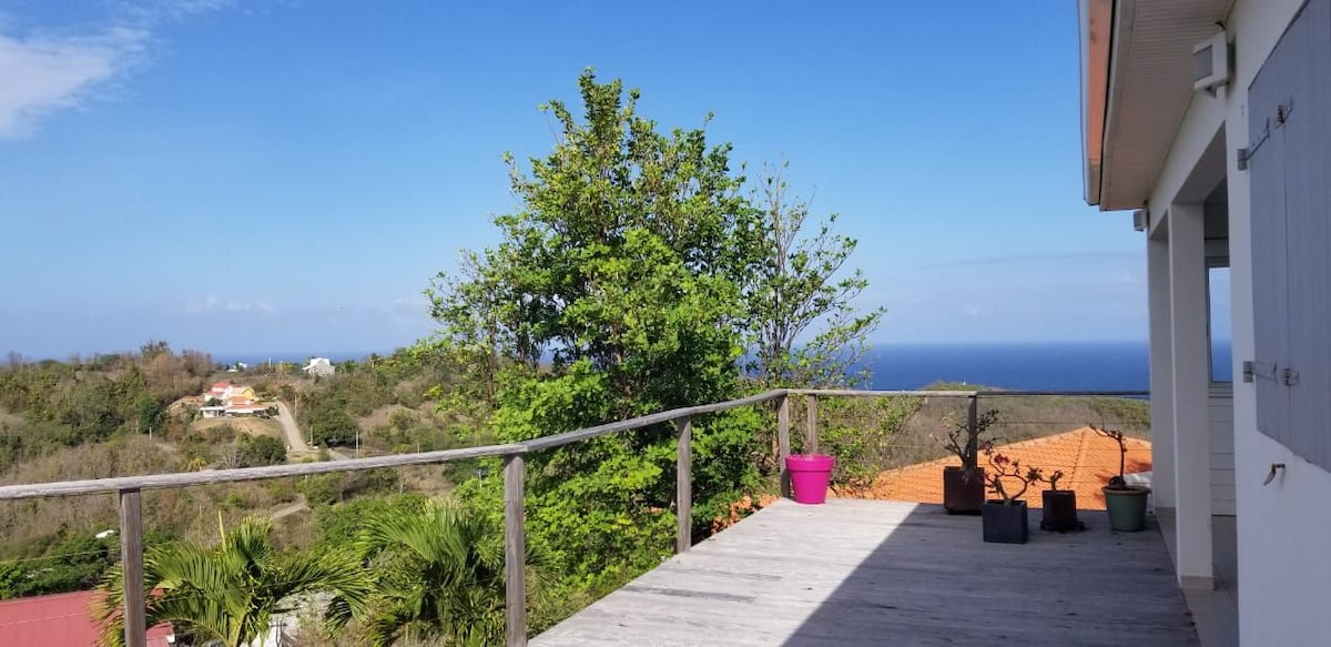 A spacious terrace is showcased, featuring a wooden railing and potted plants. A vibrant tree adds greenery to the scene, with the expansive view of the ocean visible in the distance. The clear blue sky complements the tranquil outdoor setting.