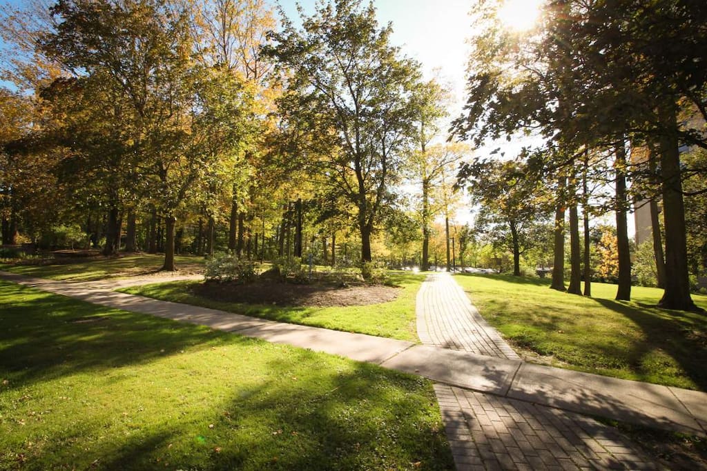 Beautiful trail to walk and relax close to the complex