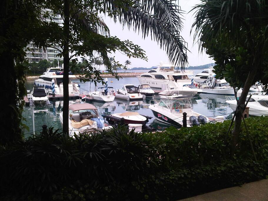 Actual view from the unit