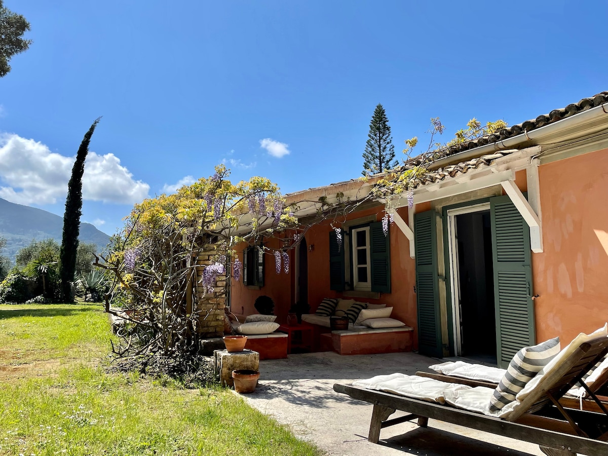 The charming exterior of a classic Tuscan villa reveals a covered patio adorned with flowering wisteria. Comfortable seating is provided under shaded areas, with sun loungers arranged nearby on a spacious lawn, offering views of olive groves and surrounding hills.