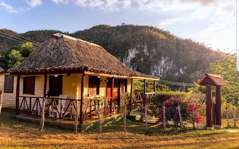 "Villa Las Palmitas " en Viñales ( Casa completa)
