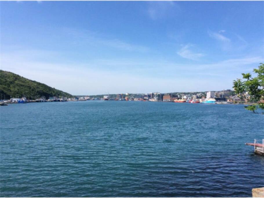 View of downtown/harbour