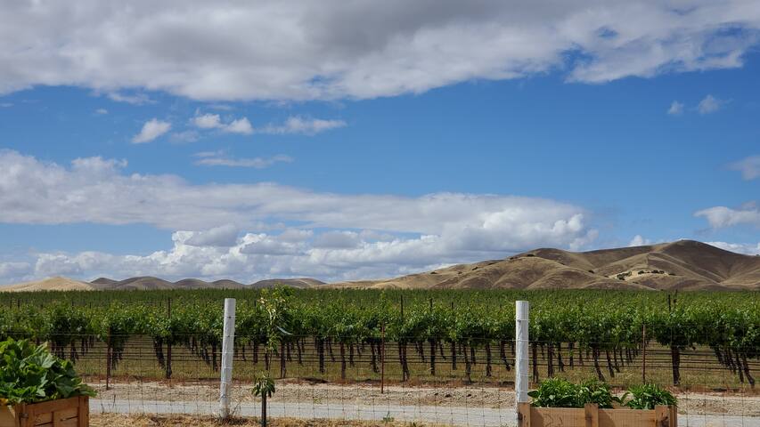 Wine Country Getaway.