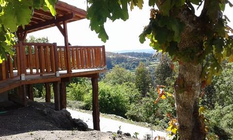A wooden deck extends from the structure, surrounded by lush greenery. The view showcases rolling hills in the distance, framed by trees. Natural light enhances the serene environment, with a pathway visible that leads away from the building.
