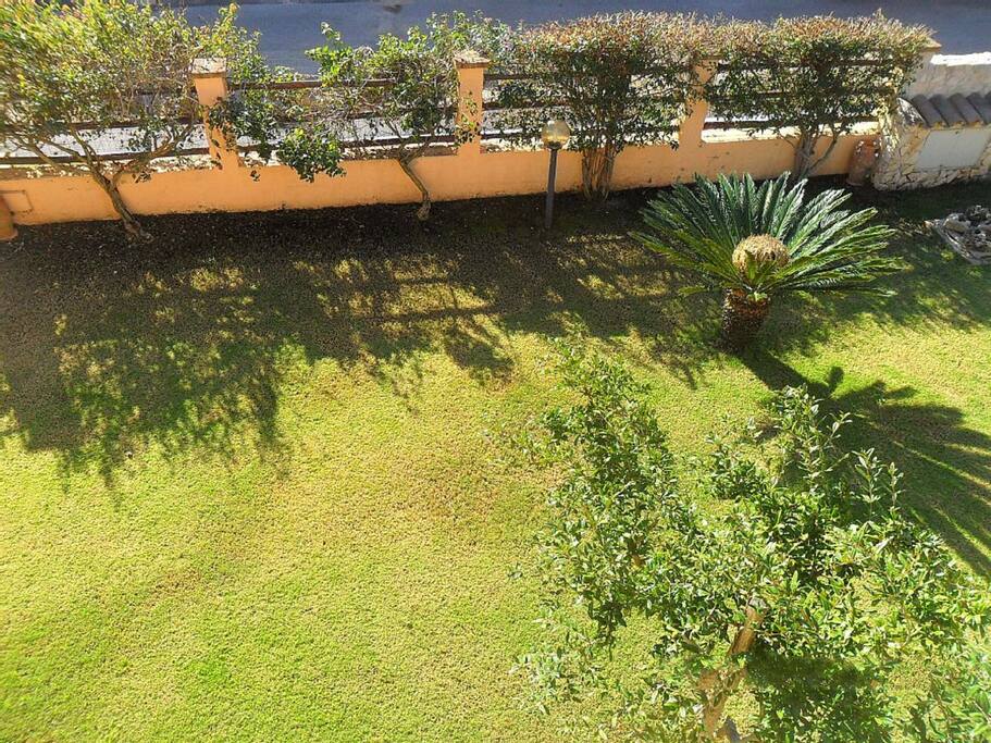 Giardino