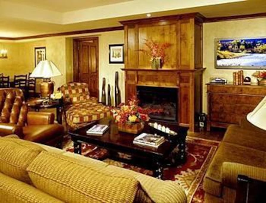 Living room with fireplace and pull out king bed