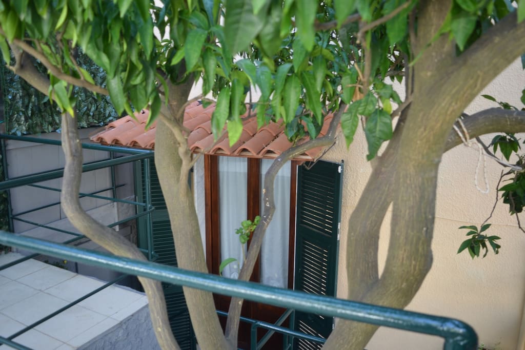 Giardino ed ingresso - Garden and entrance
