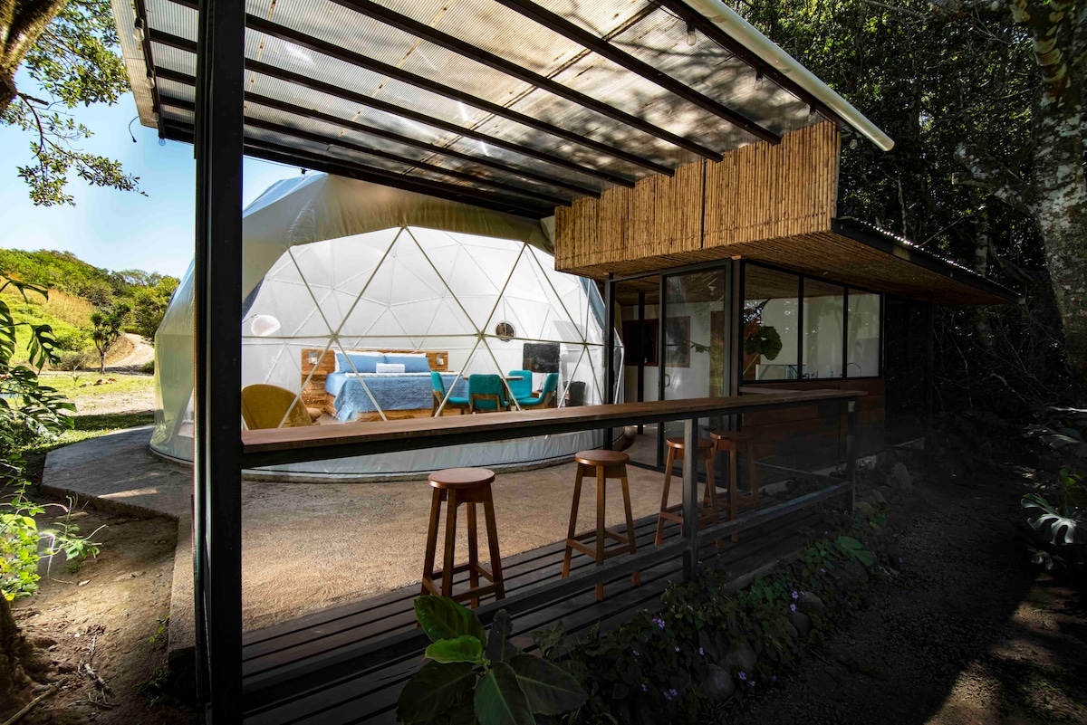 The exterior of the dome structure is viewed, showcasing a modern design with a transparent geodesic dome and a wooden terrace. The terrace features two high stools, and lush greenery surrounds the area, enhancing the connection to nature.