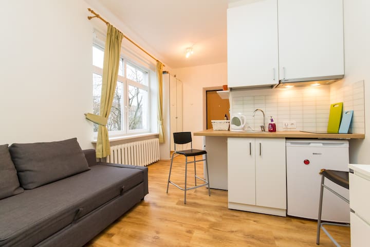 Vilnius center apartment, Junior