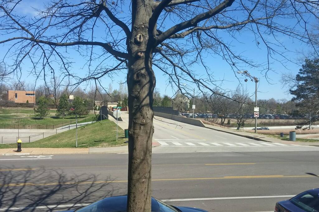 Tamm bridge. Just view from porch. Just across the way is the zoo. You can hear the train on quiet days.